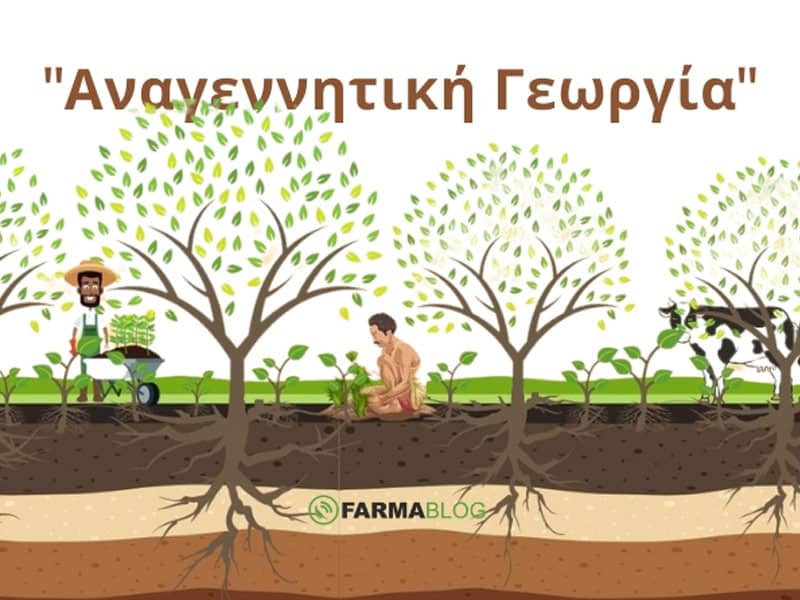 Τι είναι η "Αναγεννητική Γεωργία" και ποια προβλήματα μπορεί να λύσει;