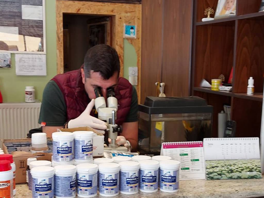 Πίσω από το πάγκο εν ώρα εργασίας